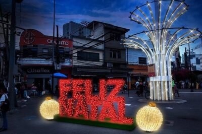 projeto de decoração do natal de duque de caxias