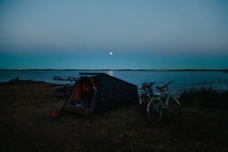 1 hegnet south fyn © michael fiukowski & sarah moritz