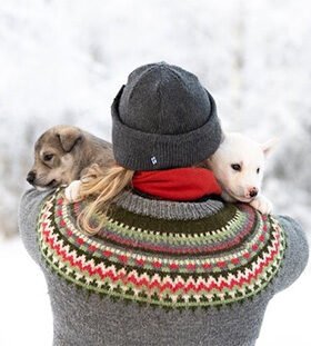 2 huskytilalla ihmiset ja eläimet voivat hyvin