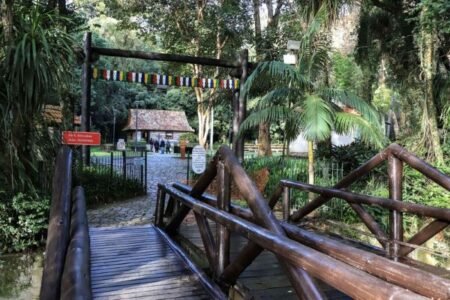 4 – Curitiba – Bosque do Papa João Paulo II – Credits CTUR.jpg 4 curitiba bosque do papa joão paulo ii credits ctur