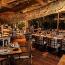 a figueira rubaiyat 25 anos do restaurante erguido em torno da árvore centenária, patrimônio ambiental crédito marcus fabrinnidivulgação