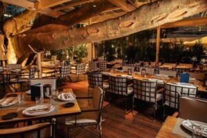 a figueira rubaiyat 25 anos do restaurante erguido em torno da árvore centenária, patrimônio ambiental crédito marcus fabrinnidivulgação