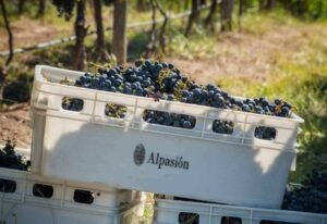 alpasion mendoza uco valley argentina credits site oficial