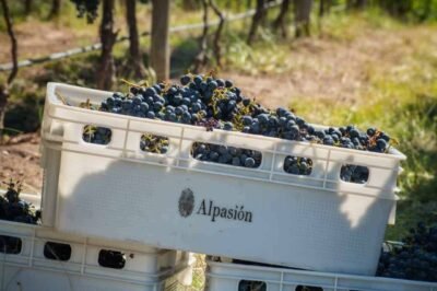 alpasion mendoza uco valley argentina credits site oficial