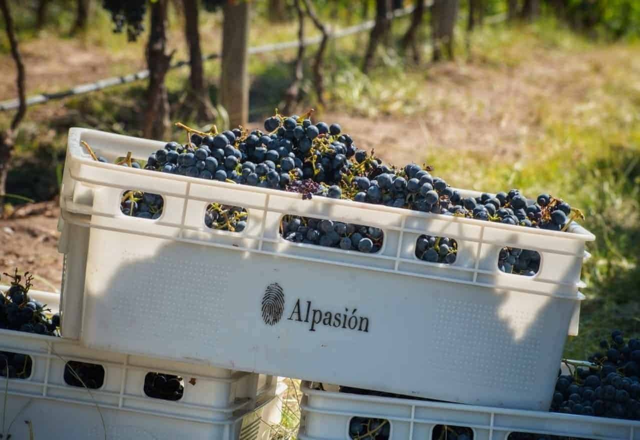 alpasion mendoza uco valley argentina credits site oficial