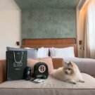 canopy by hilton são paulo jardins eleva experiência pet friendly