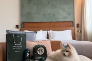 canopy by hilton são paulo jardins eleva experiência pet friendly