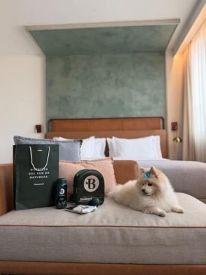 canopy by hilton são paulo jardins eleva experiência pet friendly
