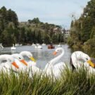 lago negro gramado rio grande do sul brasil credits yeuxpapilon