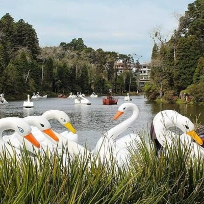 lago negro gramado rio grande do sul brasil credits yeuxpapilon