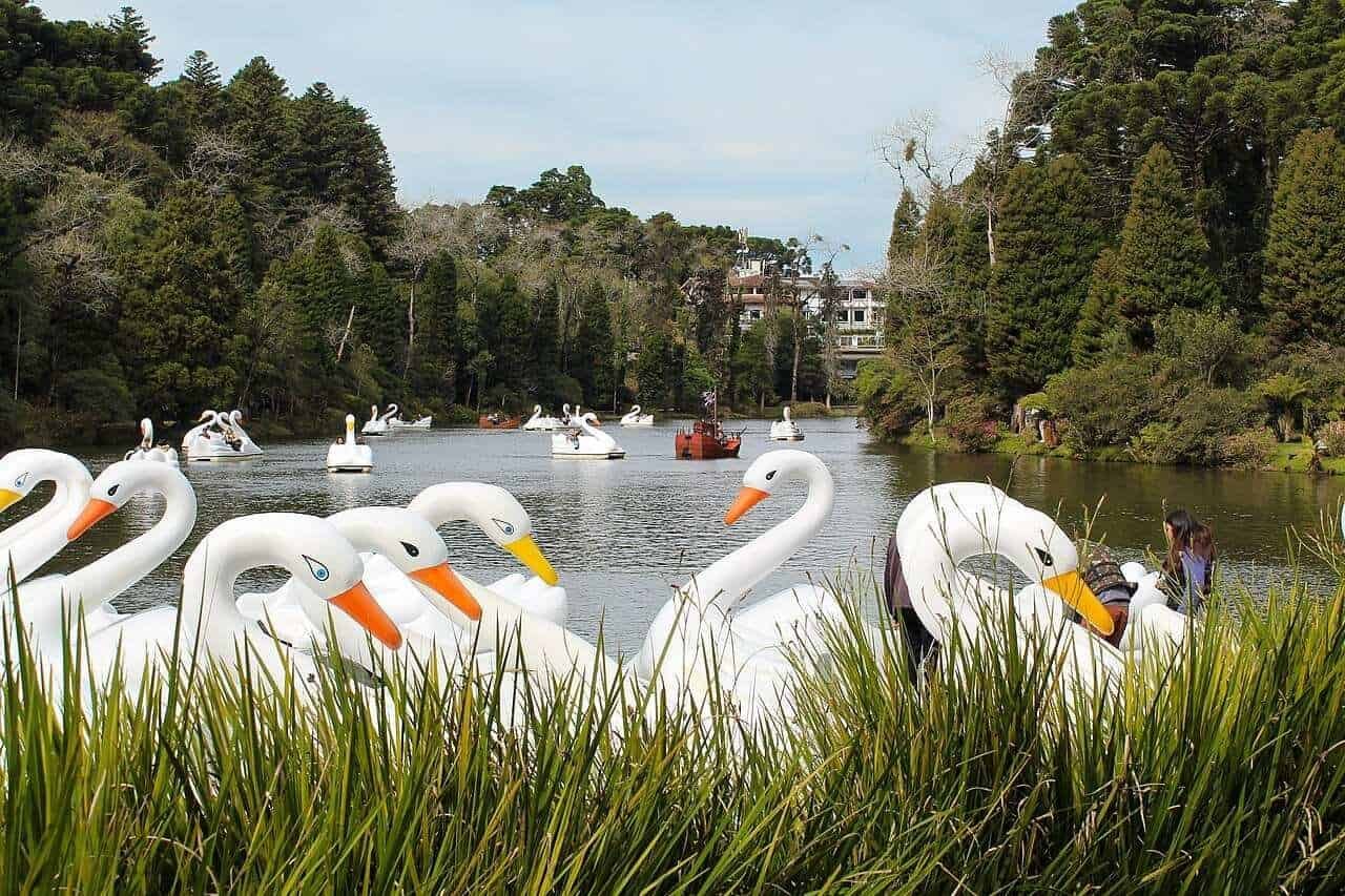 lago negro gramado rio grande do sul brasil credits yeuxpapilon