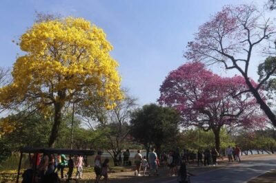 urbia promove atividades gratuitas de ciência e lazer para toda a família