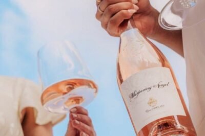 3ª edição do provence brunch rosé whispering angel creditos divulgação