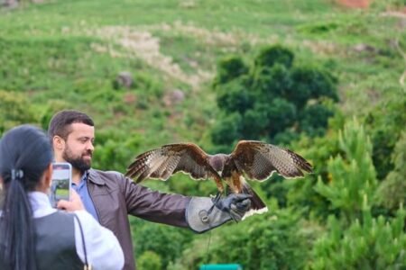 5 atividade de inteiração de um visitante com uma ave promovida no espaço da escola de falcoaria
