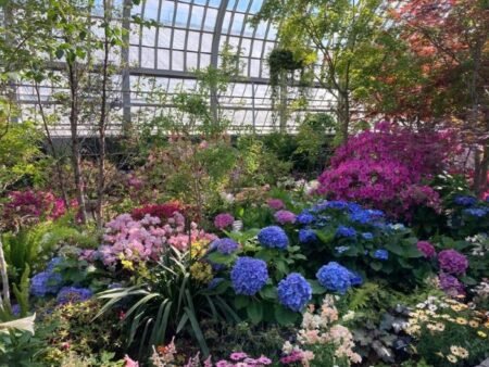 6 spring flower show divulgação