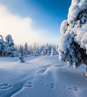 Paisagem de inverno com neve e árvores cobertas de gelo 2 um novo tipo de cooperação com a china