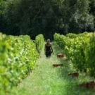 divulgação ministério do turismo do uruguai