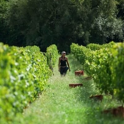 divulgação ministério do turismo do uruguai