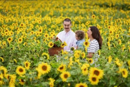 VisitScotland Tourism Insider VisitScotland Tourism Insider
