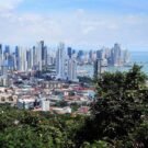 panamá fre license 01