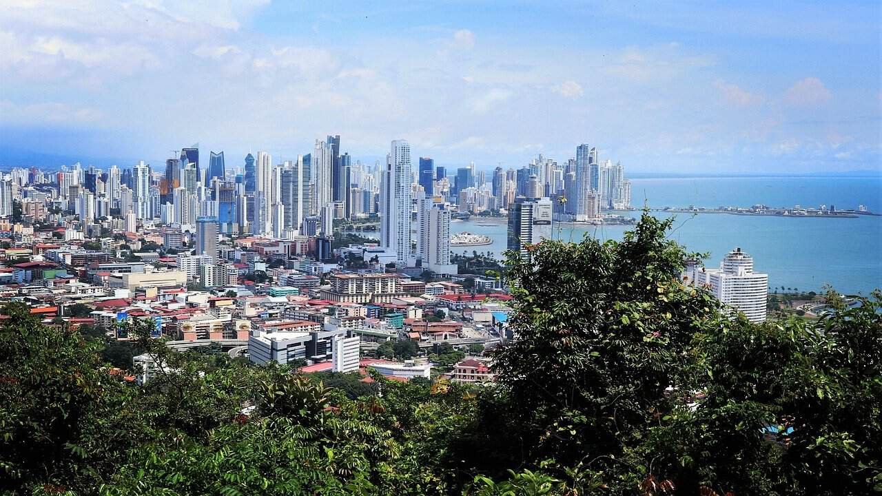 panamá fre license 01